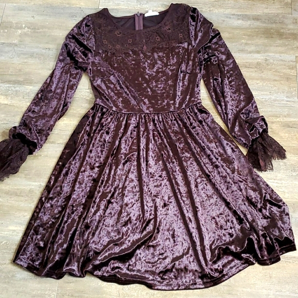 MAIN STRIP Brown Velvet Lace Dress - Picture 2 of 5